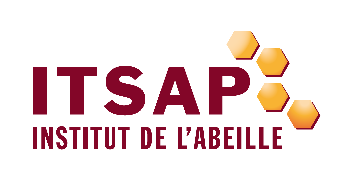 Logo ITSAP